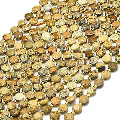 Natural Picture Jasper Beads Strands G-C116-A67-02-1