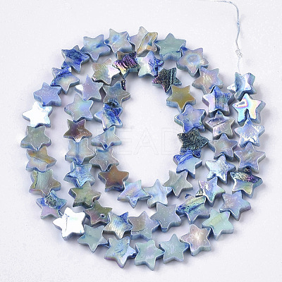 Freshwater Shell Beads Strands SHEL-N026-08E-1
