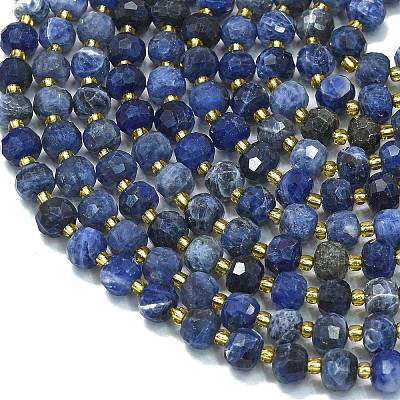 Natural Sodalite Beads Strands G-K389-E74-01B-1