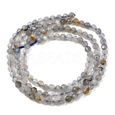 Natural Labradorite Beads Strands G-RM250104-E8-1