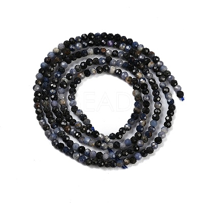 Natural Sapphire Beads Strands X-G-P553-G07-01-1