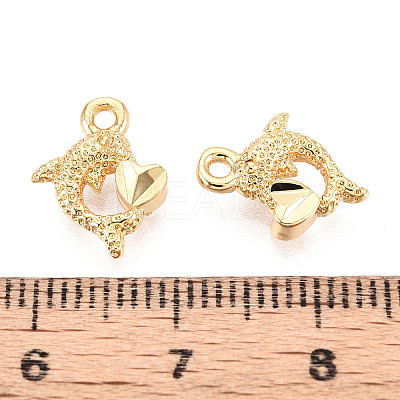 Brass Charms KK-N263-119D-G-1