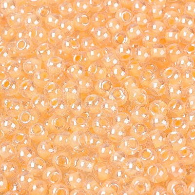 FGB Glass Seed Beads SEED-Q040-08A-06-1