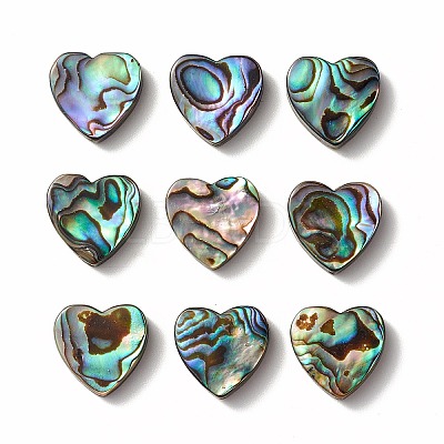 Abalone Shell/Paua Shell Beads LS-SHEL-T005-01-1