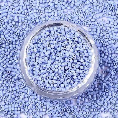 FGB 11/0 Grade A Glass Seed Beads SEED-S030-1023-1