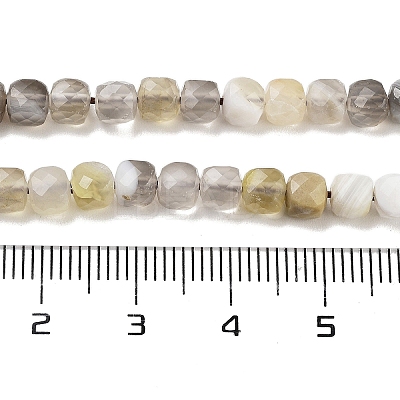 Natural Botswana Agate Beads Strands G-H042-A07-02-1