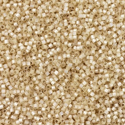 MIYUKI Delica Beads SEED-JP0008-DB0621-1