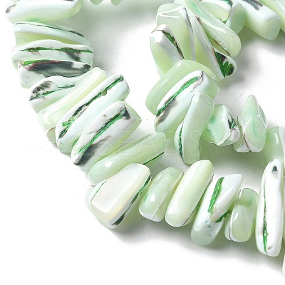 Dyed Natural Trochus Shell Beads Strands SSHEL-C013-09I-1