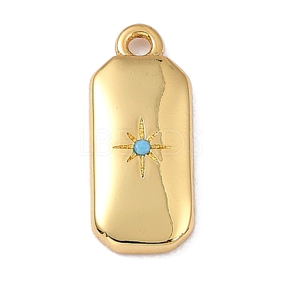 Brass Micro Pave Cubic Zirconia Charms ZIRC-I054-12G-1