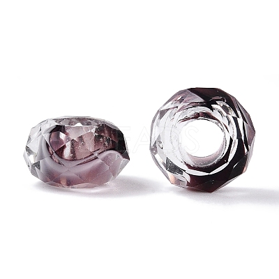 Two Tone Glass European Beads GDA009-3-1