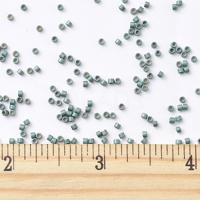 MIYUKI Delica Beads SEED-MY11-DB1847F-1
