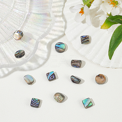 12pcs 3 styles Natural Abalone Shell/Paua Shell Beads Strands SHEL-WR0001-03-1