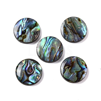 Natural Paua Shell Epoxy Resin Cabochons SSHEL-S279-01A-1
