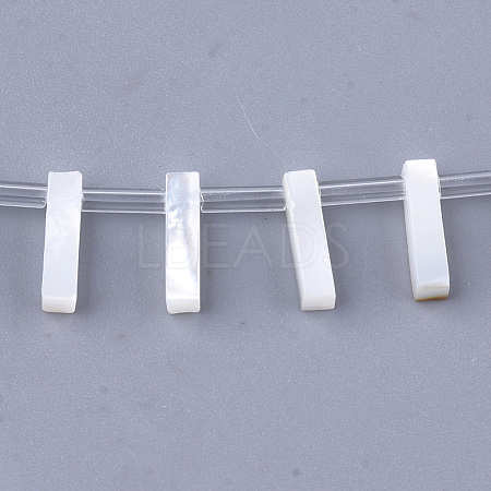 Natural Sea Shell Beads SHEL-T012-60I-1