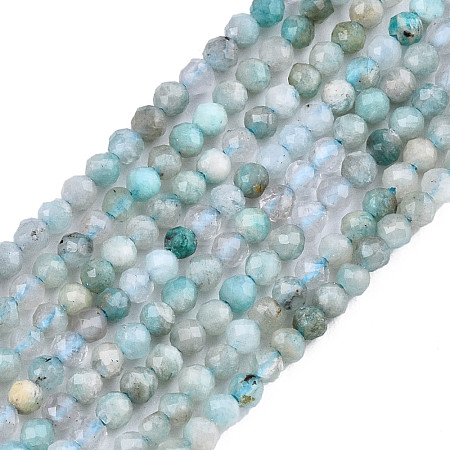 Natural Russia Amazonite Beads Strands G-S300-13-2mm-1