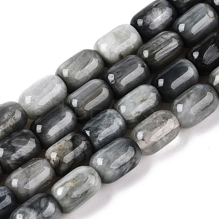 Natural Eagle Eye Stone Beads Strands G-G980-43-1