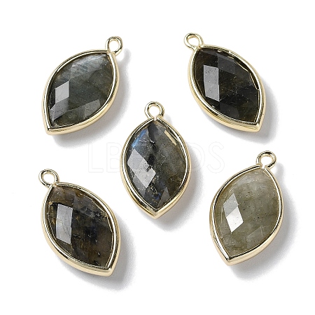 Natural Labradorite Pendants G-B009-01G-R-1