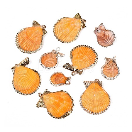 Electroplate Natural Scallop Shell Pendants SSHEL-Q100-20KCG-1