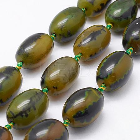 Natural Stripe Agate Beads Strands G-K214-06A-1