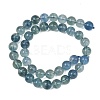 Natural Blue Fluorite Beads Strands GG-CBAF158-10mm-5