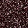 TOHO 11/0 Round Beads X-SEED-TR11-0331-2