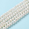Natural Cultured Freshwater Pearl Beads Strands PEAR-E018-57-2
