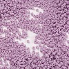 MGB Matsuno Glass Beads X-SEED-R017A-772-2