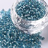8/0 Glass Seed Beads X2-SEED-A005-3mm-23-1