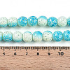 Transparent Baking Paint Glass Beads Strands DGLA-N009-10mm-05-5