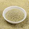 MIYUKI Round Rocailles Beads SEED-JP0010-RR0577-2