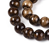 Natural Persian Jade Beads Strands G-A255-A02-01E-4