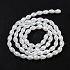 Electroplate Glass Beads Strands EGLA-A037-J6x8mm-B01-2