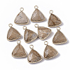 Natural Picture Jasper Pendants G-S359-029D-1