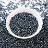 MIYUKI Round Rocailles Beads SEED-X0055-RR2426-2