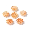 Synthetic Shell Dyed Beads SHEL-C006-01-2