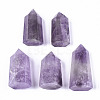 Natural Amethyst Beads G-S359-217-1