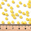 6/0 Glass Seed Beads SEED-S058-A-F426-4
