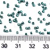 FGB 11/0 Grade A Glass Seed Beads SEED-S030-1209-4