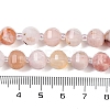 Natural Cherry Blossom Agate Beads Strands G-G182-B41-03-5