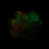 Luminous Resin Cabochons RESI-E033-02F-2