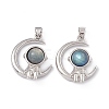 Natural Labradorite Pendants KK-A173-18P-02-3