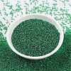 MIYUKI Round Rocailles Beads SEED-X0056-RR0173-2