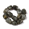 Natural Labradorite Beads Strands G-N342-146-2