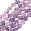 Natural Lepidolite Beads Strands G-L095-A01-01B-1