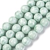 Natural Glass Beads Strands G-I247-31H-4