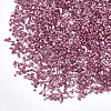 Plated Glass Seed Beads X-MRMJ-S034-04C-2