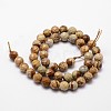 Natural Picture Jasper Beads Strands G-D840-47-4mm-2
