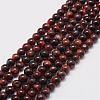 Natural Tiger Eye Bead Strands G-P230-14-4mm-1