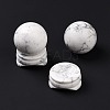 Natural Howlite Display Decorations DJEW-G032-02J-3