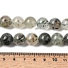Natural Gemstone Beads Strands G-D359-B02-12mm-5